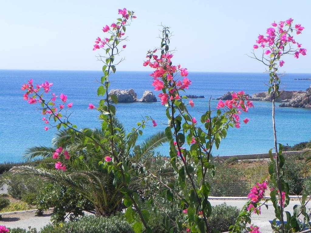 Ardani Bay Studios Амупи Номер фото